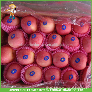 Offer Chinese Delicious Fresh Apple With Low Price &High Quality!!!!